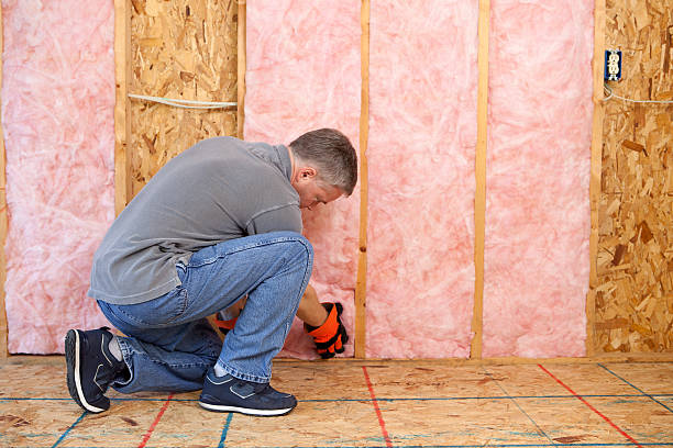 Best Types of Insulation in Beech Mountain Lakes, PA